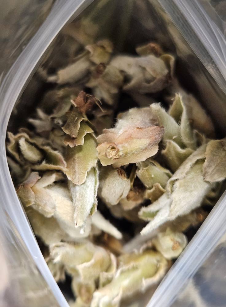 Wild Pu-erh Buds Tea